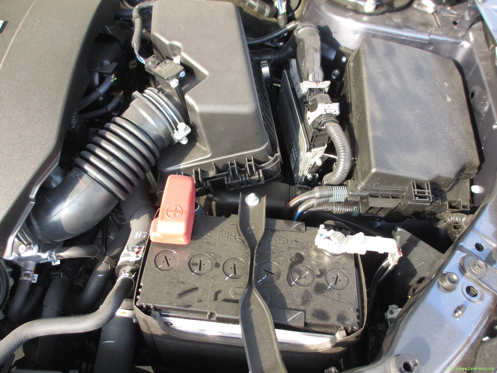Altis 2014 -402
